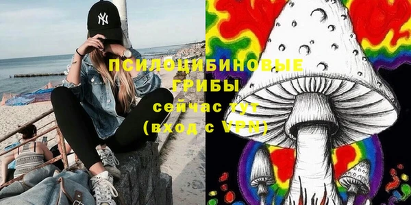 каннабис Богородицк