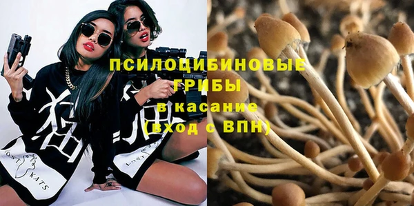 прущая мука Богданович