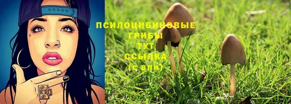 прущая мука Богданович