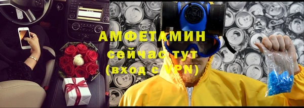 прущие грибы Дмитриев